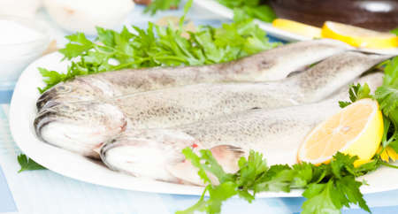 Lemon, parsley, trout and onion lying on the plate indoorsの写真素材