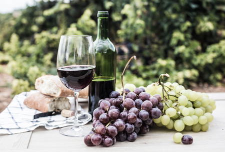 glass of wine and ripe grapes in the vineyard at summerの写真素材
