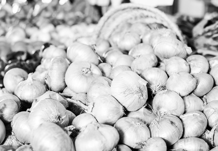 Mature bulb onion on market counterの写真素材
