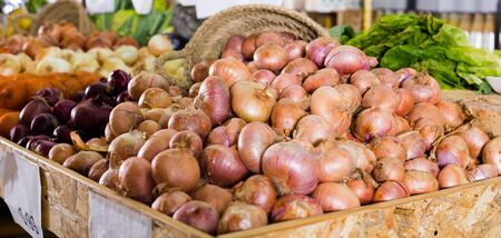 Mature bulb onion on market counterの写真素材