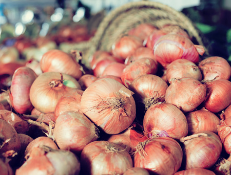 Mature bulb onion on market counterの写真素材