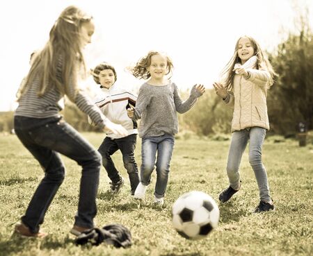 active children run to soccer ball lying on grassの写真素材