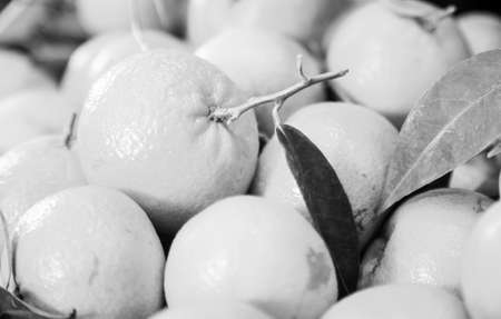 Closeup of ripe apetitic mandarinsの写真素材