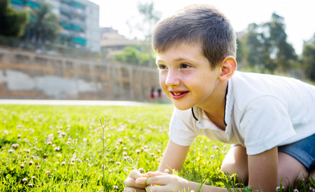nice german boy sitting grassの写真素材