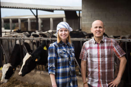 Two smiling technicians posing near cowhouse in modern farm. focus on girlの写真素材