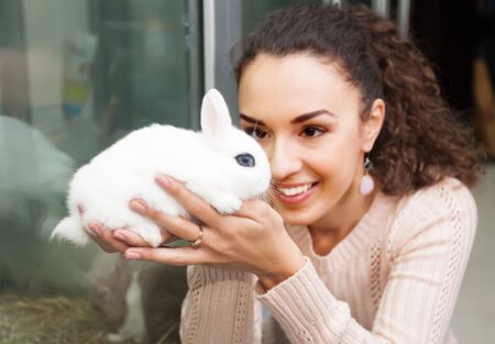 young brunette watching fBlanc de Hotot rabbit in petshopの写真素材