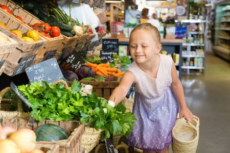 blonde girl choosing parsley in vegetable shop. on labels of product names in Catalanの写真素材