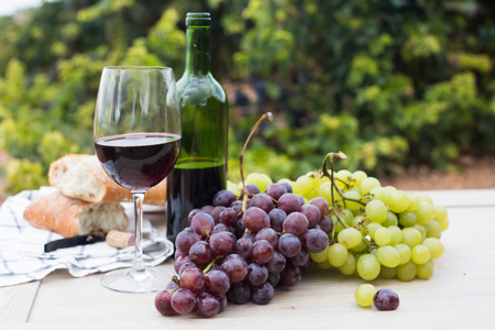 glass of wine and ripe grapes in the vineyard at summerの写真素材