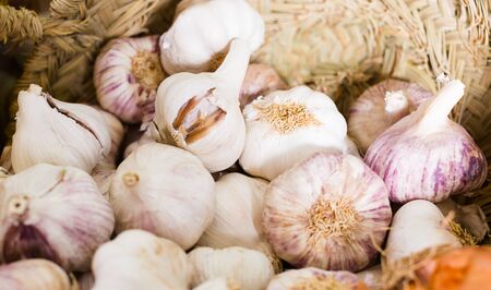 Heads of ripe garlic in basketの写真素材