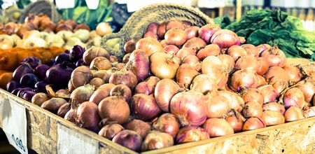 Mature bulb onion on market counterの写真素材