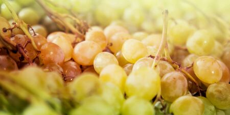 bunch of grapes on the counter marketの写真素材