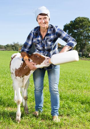mature female employee feeding newborn calf on grass pastureの写真素材