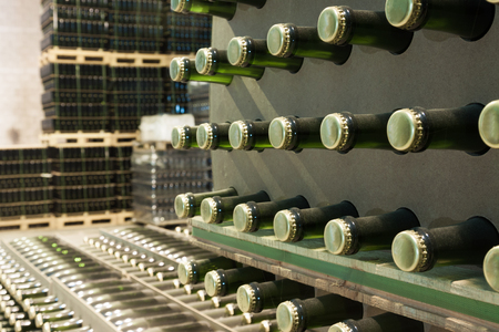 wine bottles in cellar in wineryの写真素材