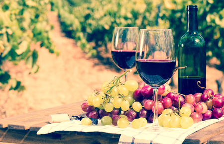 glass of claret wine and ripe grapes on table in vineyardの写真素材