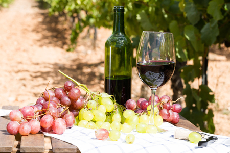 still life with glass of red wine and grapes in fieldの写真素材