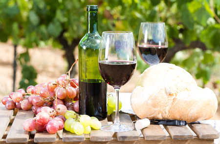 glass of red wine ripe grapes and bread on table in vineyardの写真素材