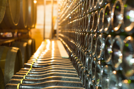 rows of wine bottles in spain wineryの写真素材