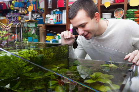 Ordinary guy smiling and choosing tropical fish in shopの写真素材