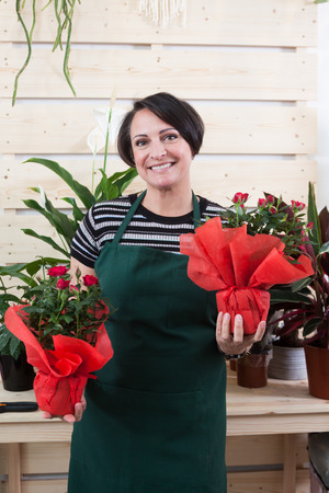 woman florist with HeliÃ¡nthus Ã¡nnuus in apron and tool in flower shopの写真素材