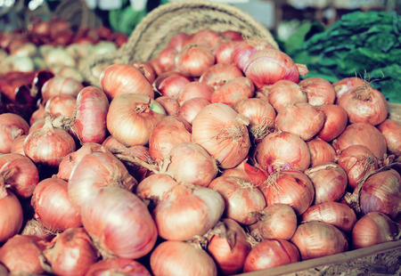 Mature bulb onion on market counterの写真素材