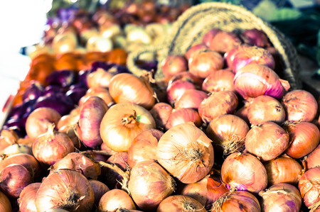 Mature bulb onion on market counterの写真素材