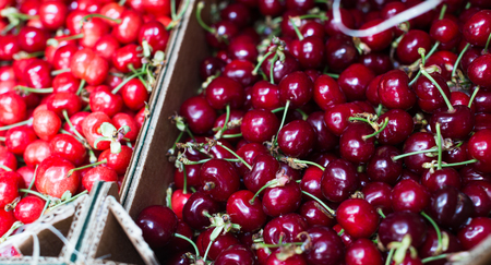 pile of ripe cherry in wooden boxes