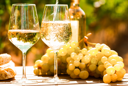 glass of dry White wine ripe grapes and bread on table in vineyardの写真素材