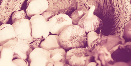 Heads of ripe garlic in basketの写真素材