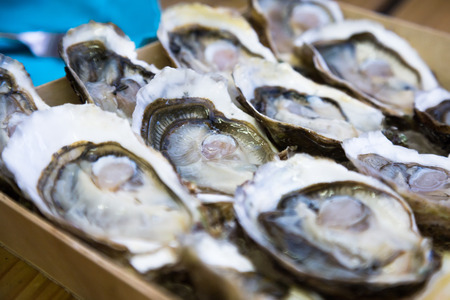 Fresh delicious oysters with lemon on the plate
