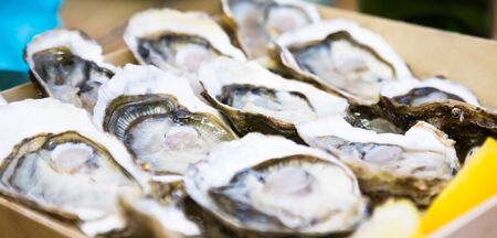 Fresh delicious oysters with lemon on the plateの写真素材