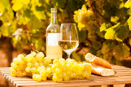 glass of dry White wine ripe grapes and bread on table in vineyardの写真素材