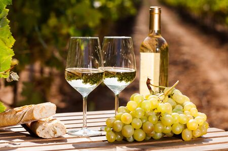glass of White wine grapes and bread on table in fieldの写真素材