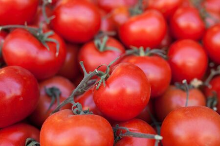 fresh tomatoes on branch in wicker baskets on counterの写真素材