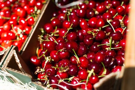 pile of ripe cherry in wooden boxesの写真素材