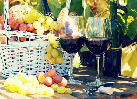 glass of red wine ripe grapes and picnic basket on table in vineyardの写真素材