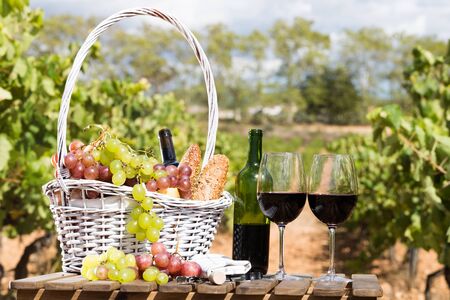 still life with glass of red wine grapes and picnic basket on table in fieldの写真素材