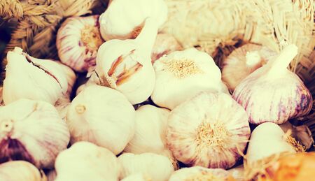 Heads of ripe garlic in basketの写真素材