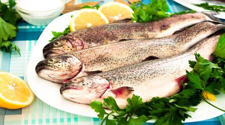 Lemon, parsley, trout and onion lying on the plate indoors