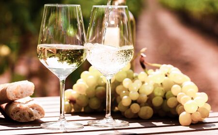 glass of dry White wine ripe grapes and bread on table in vineyardの写真素材