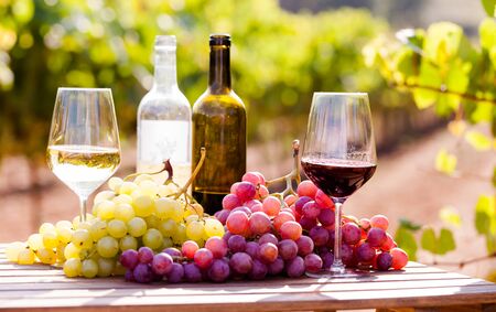 still life with glasses of red and white wine and grapes in fieldの写真素材