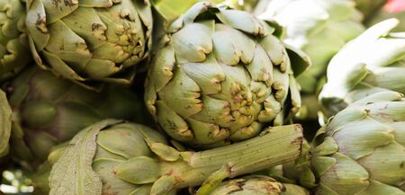 Fresh farmer artichokes on market counterの写真素材