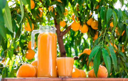 still life of ripe appetizing yellow peaches and jug of freshly squeezed peach juice on table in gardenの写真素材