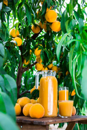 still life of ripe appetizing yellow peaches and jug of freshly squeezed peach juice on table in gardenの写真素材