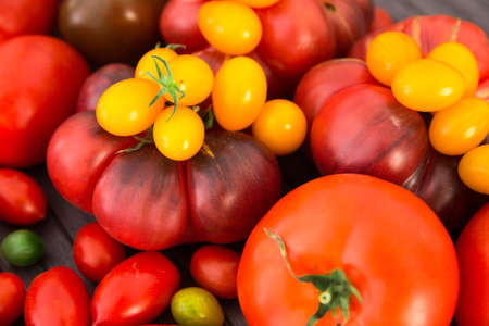 abundance of different varieties of ripe red and yellow appetizing tomatoes