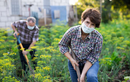 Female farmer in protective mask with shovel in the backyard of a country houseの写真素材