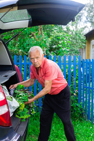elderly man puts things in the trunk of a car near a fence in a villageの写真素材