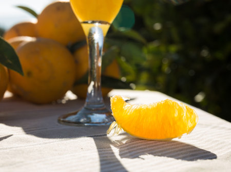 juice and oranges on table in orchardの写真素材