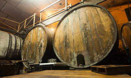 large wooden barrels in a traditional cider factory