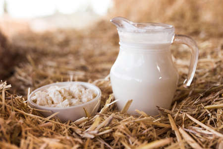 jug of milk and cottage cheese in mowの写真素材
