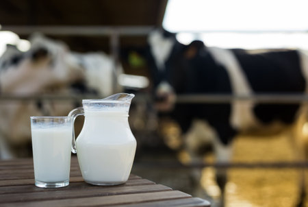 dairy products on table against the background of herd of cows in cowshedの写真素材
